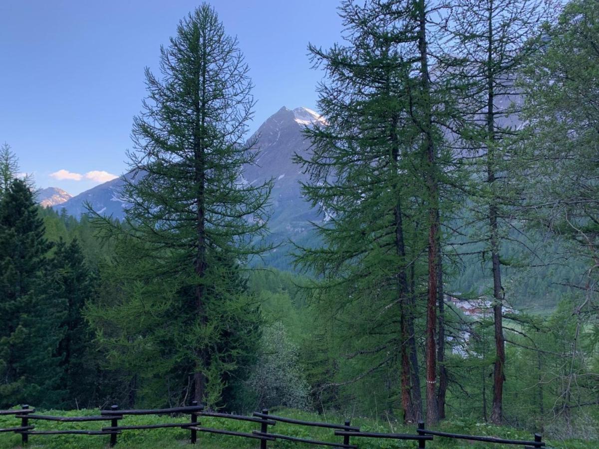 Casa Camas, Wide 2Bedroom, Feel The Mountain Breuil-Cervinia Exterior photo